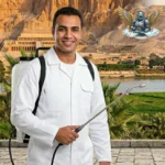 شركة مكافحة حشرات في الأقصر