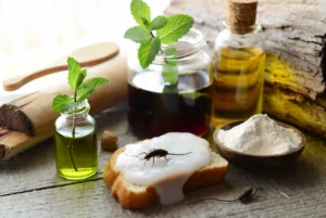 طرق مكافحة الحشرات في المنزل