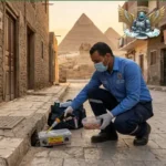 مكافحة الفئران في الجيزة